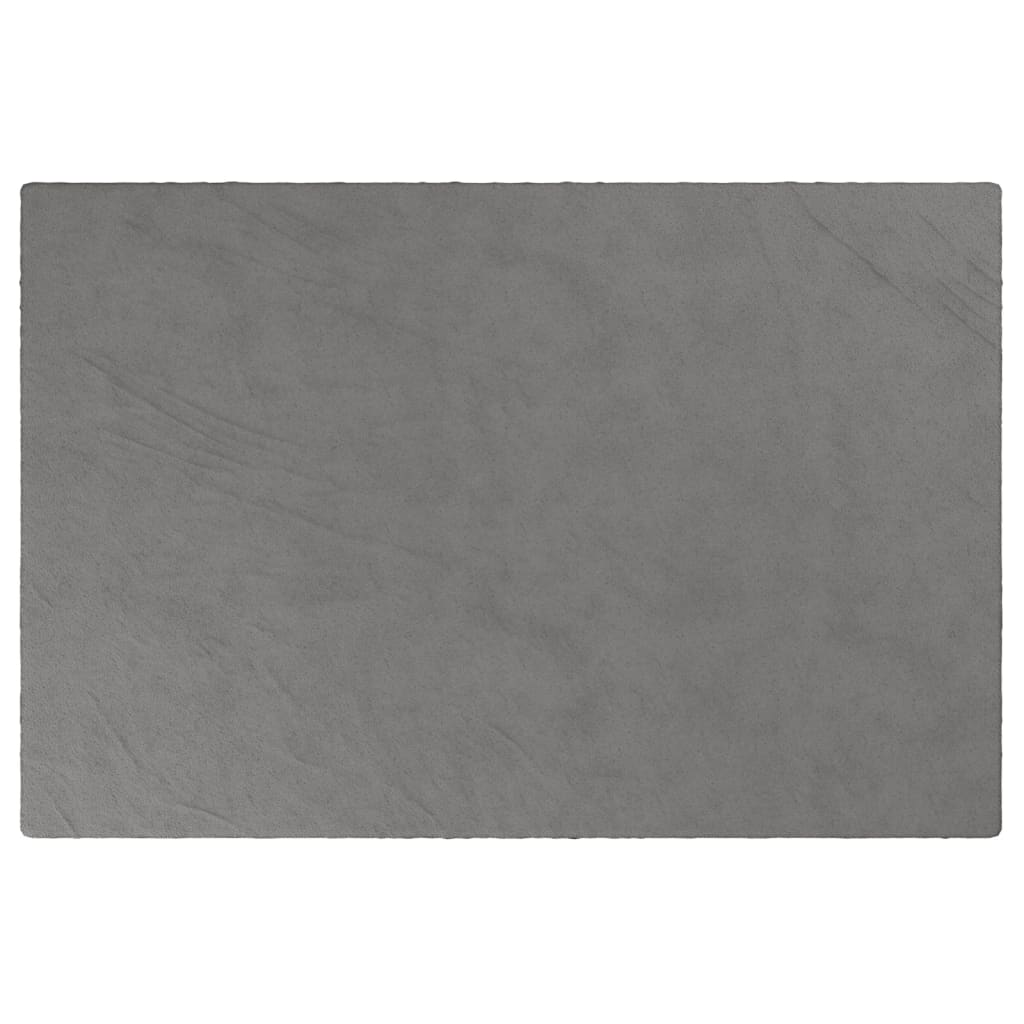 vidaXL Weighted Blanket with Cover Grey 122x183 cm 5 kg Fabric 3