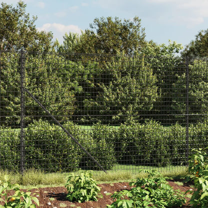 vidaXL Wire Mesh Fence Anthracite 1.4x10 m Galvanised Steel 1