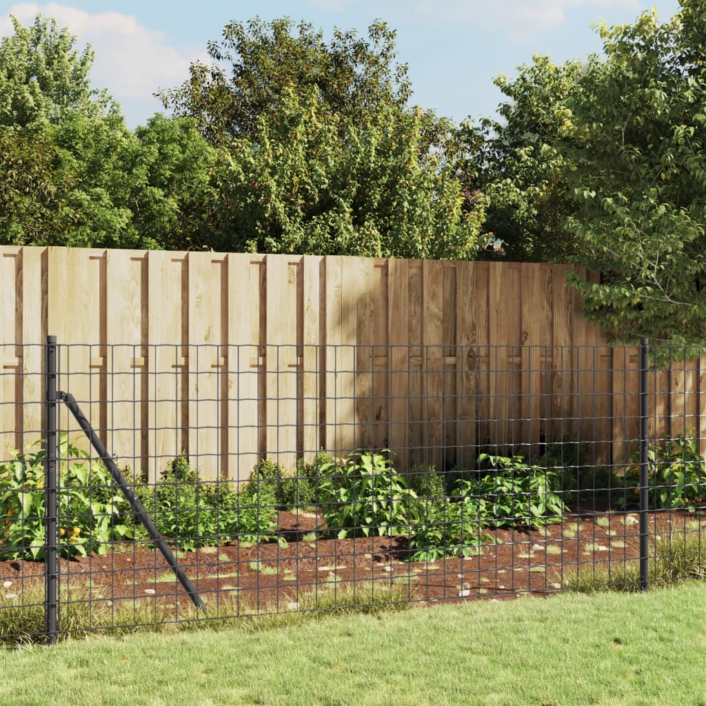 Wire Mesh Fence Anthracite
