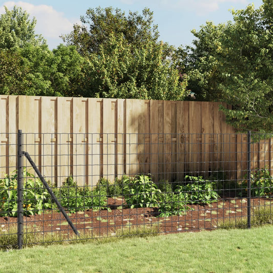 Wire Mesh Fence Anthracite