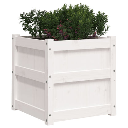 vidaXL Garden Planter White 50x50x50 cm Solid Wood Pine 4
