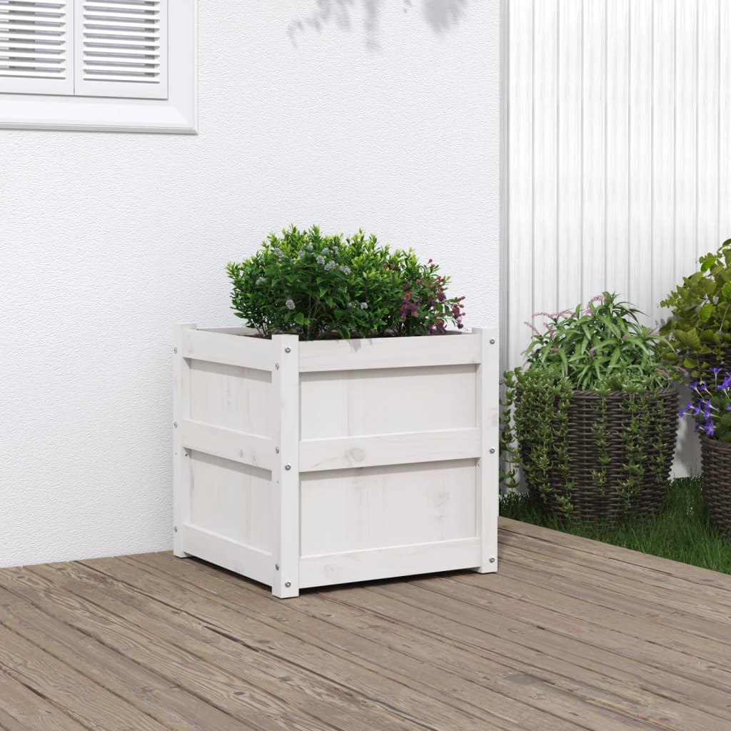 vidaXL Garden Planter White 50x50x50 cm Solid Wood Pine 1