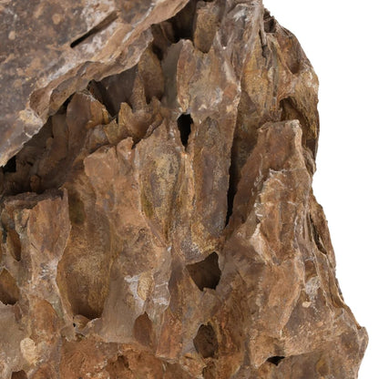 vidaXL Dragon Stones 25 kg Mixed Colour 10-30 cm 5