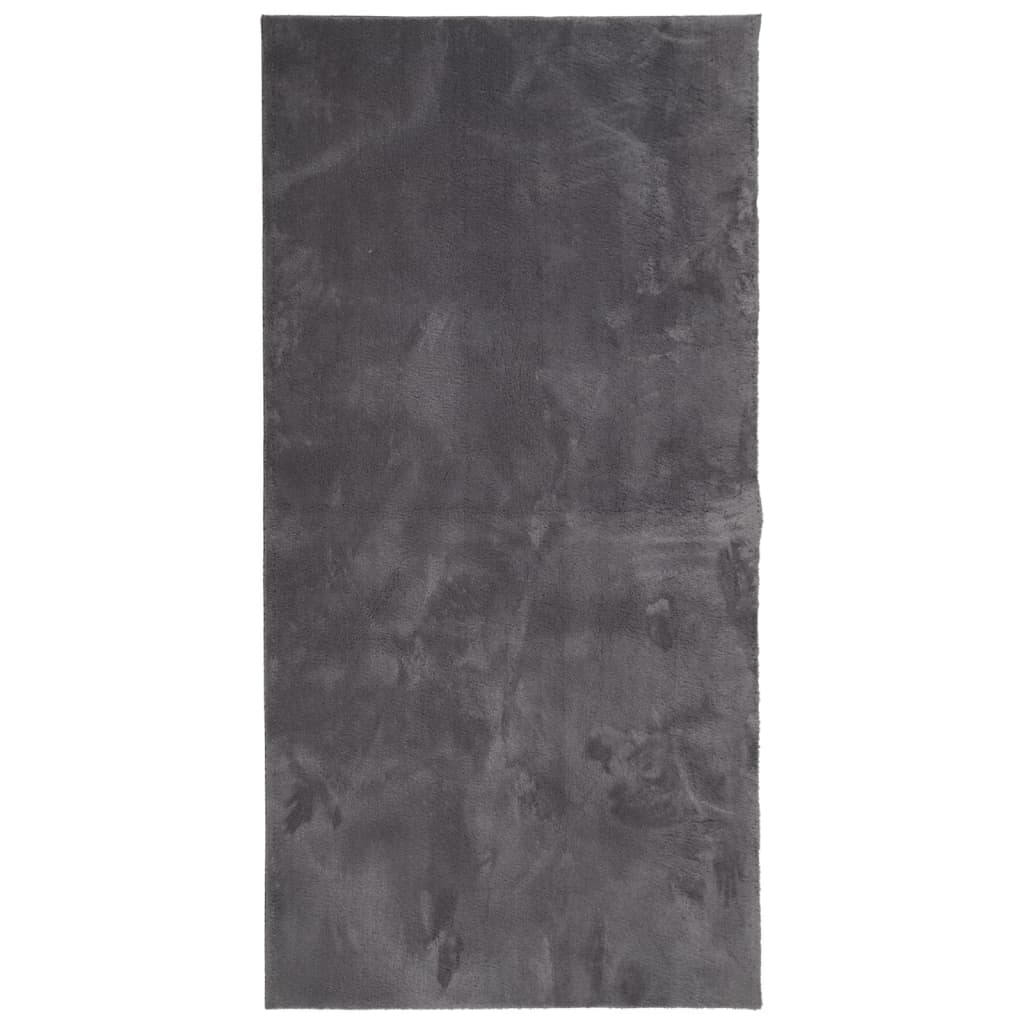 vidaXL Rug HUARTE Short Pile Soft and Washable Anthracite 100x200 cm 2