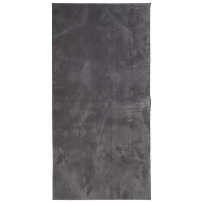 vidaXL Rug HUARTE Short Pile Soft and Washable Anthracite 100x200 cm 2