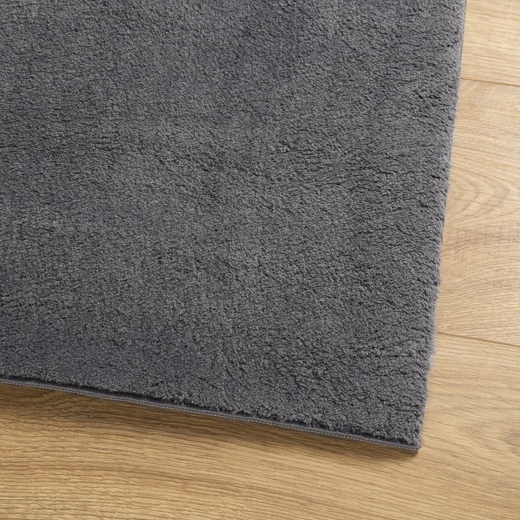 vidaXL Rug HUARTE Short Pile Soft and Washable Anthracite 100x200 cm 4