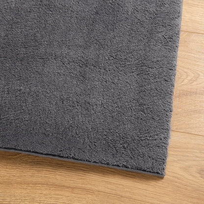 vidaXL Rug HUARTE Short Pile Soft and Washable Anthracite 100x200 cm 4