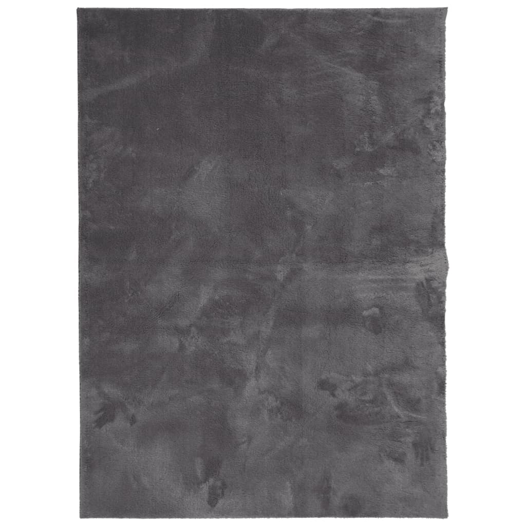 vidaXL Rug HUARTE Short Pile Soft and Washable Anthracite 120x170 cm 2