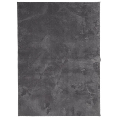 vidaXL Rug HUARTE Short Pile Soft and Washable Anthracite 140x200 cm 2