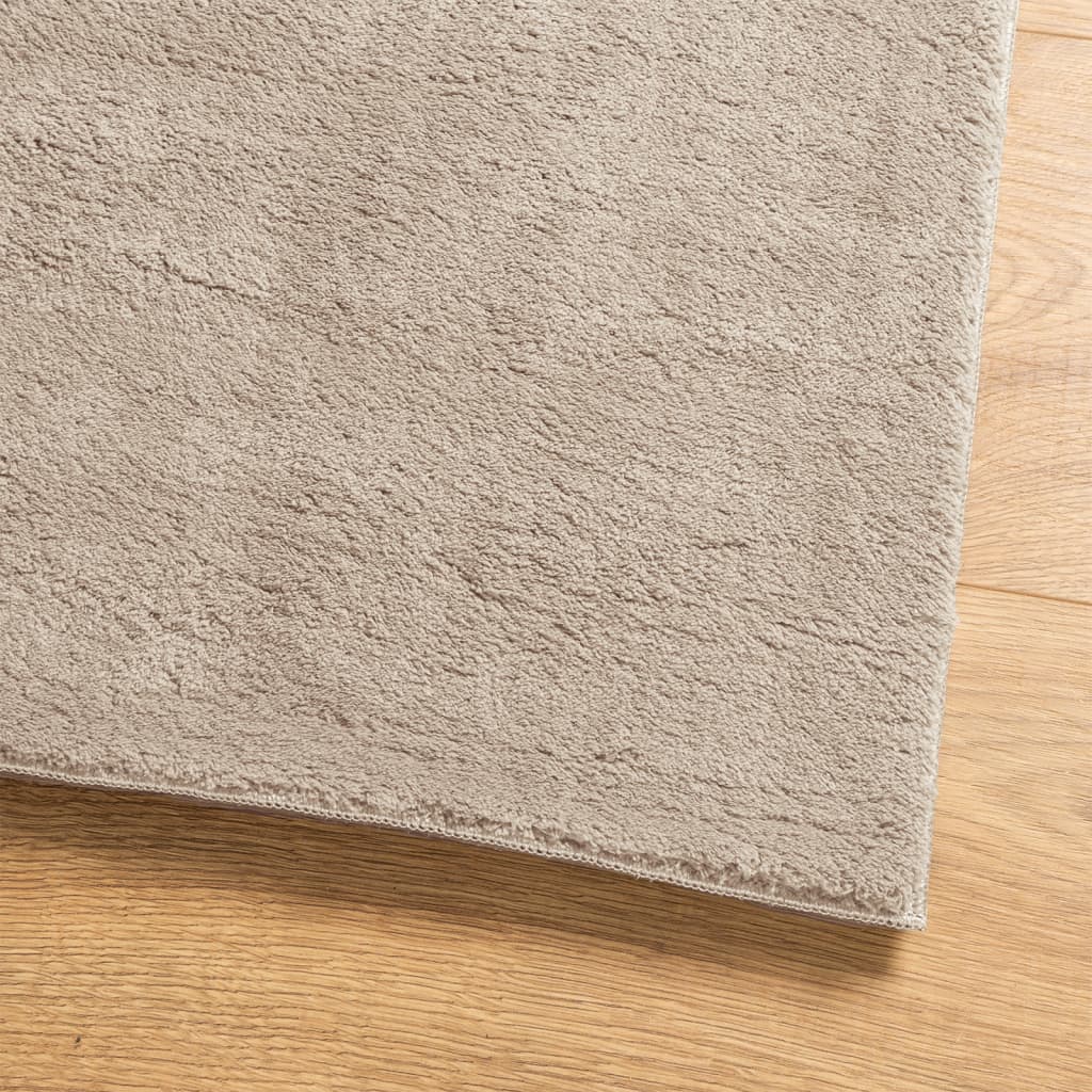 vidaXL Rug HUARTE Short Pile Soft and Washable Sand 80x250 cm 4
