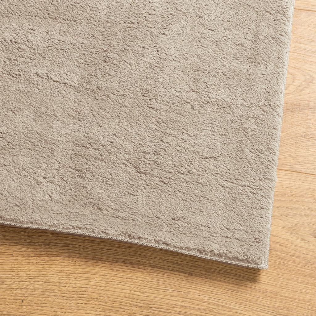 vidaXL Rug HUARTE Short Pile Soft and Washable Sand 100x200 cm 4