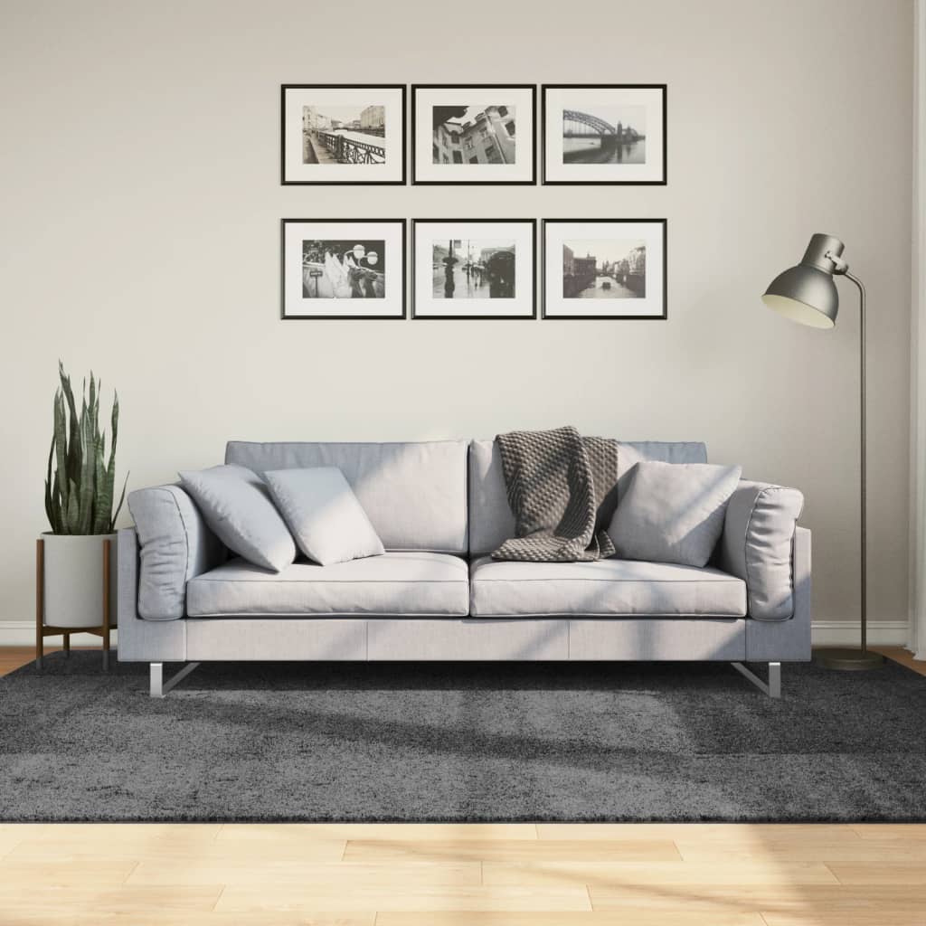 vidaXL Rug OVIEDO Short Pile Anthracite
