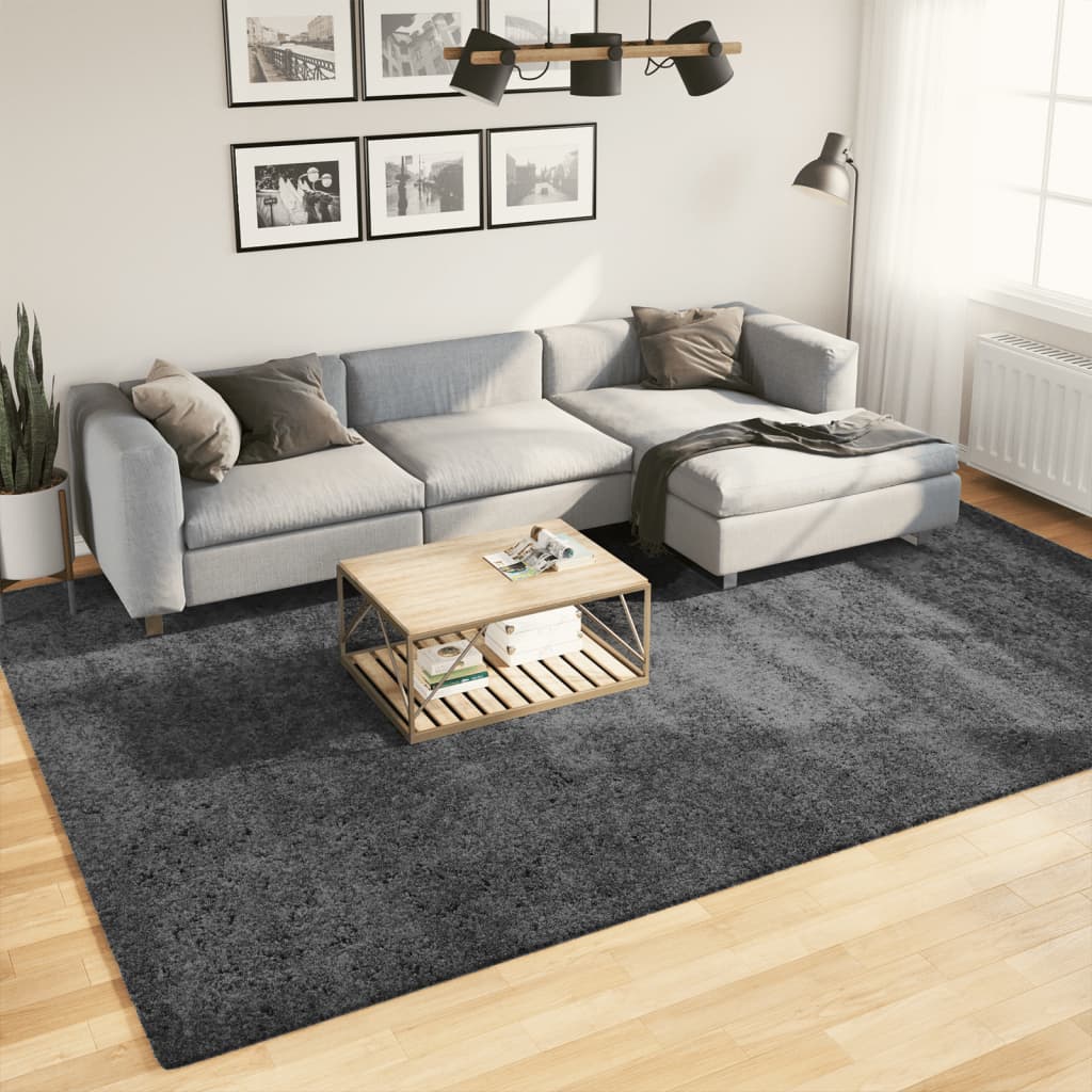 vidaXL Rug OVIEDO Short Pile Anthracite