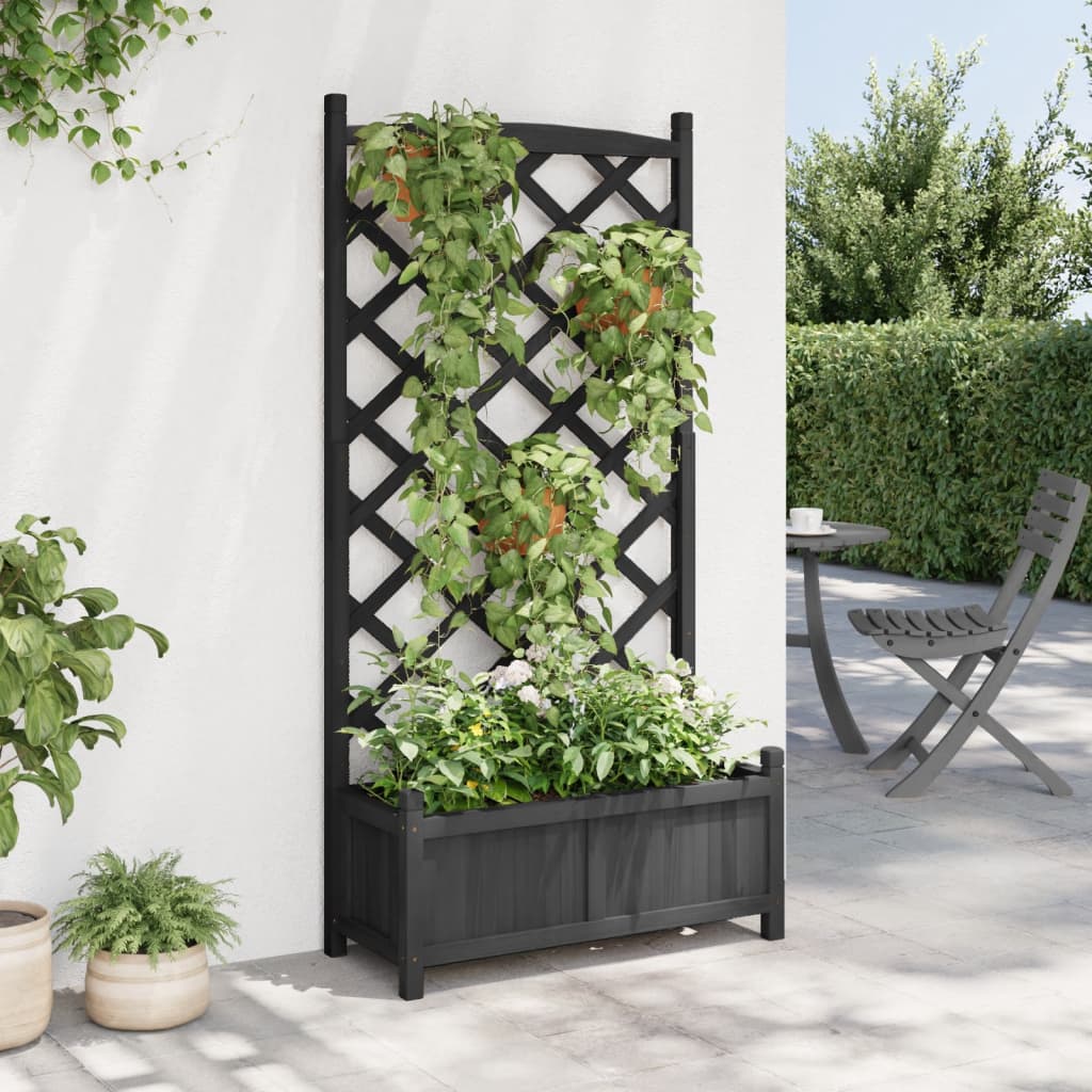vidaXL Planter with Trellis Black 75 x 35 x 150 cm Solid Wood Fir 3