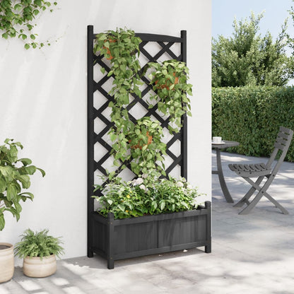 vidaXL Planter with Trellis Black 75 x 35 x 150 cm Solid Wood Fir 3