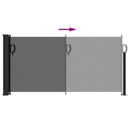 vidaXL Retractable Side Awning Black 100x300 cm 6