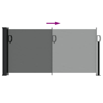 vidaXL Retractable Side Awning Anthracite 100x300 cm 6