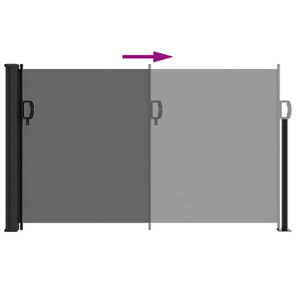 vidaXL Retractable Side Awning Anthracite 117x300 cm 6