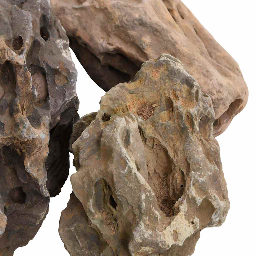 vidaXL Dragon Stones 25 kg Grey 10-40 cm 5