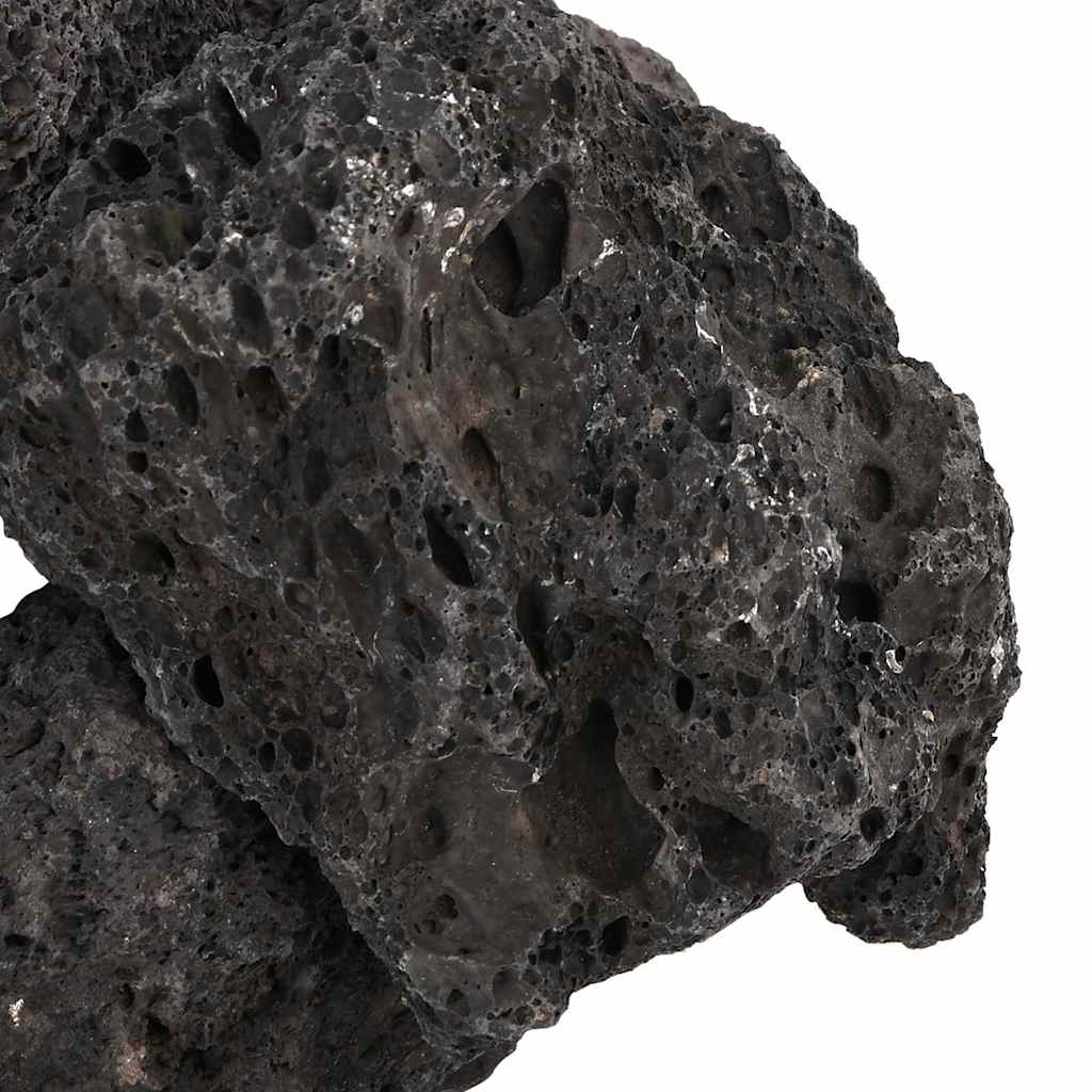 vidaXL Volcanic Rocks 25 kg Black 10-30 cm 5
