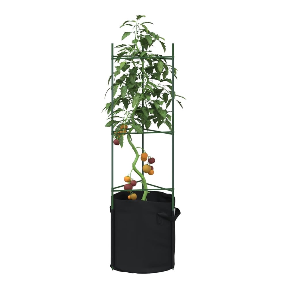 Tomato Cages Steel and PP With bag 4