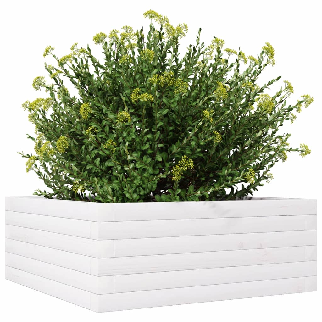 vidaXL Garden Planter White 60x60x23 cm Solid Wood Pine 4