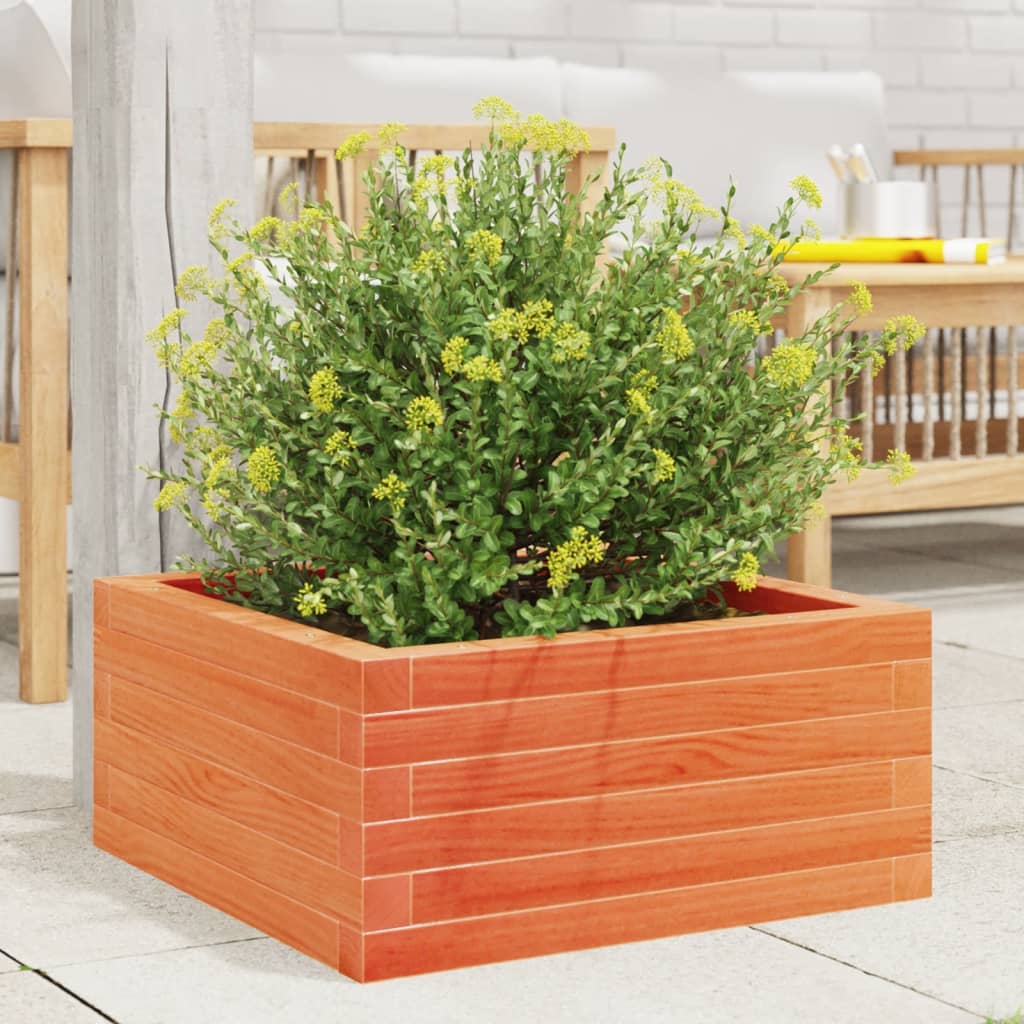 vidaXL Garden Planter Wax Brown 60x60x23 cm Solid Wood Pine 3