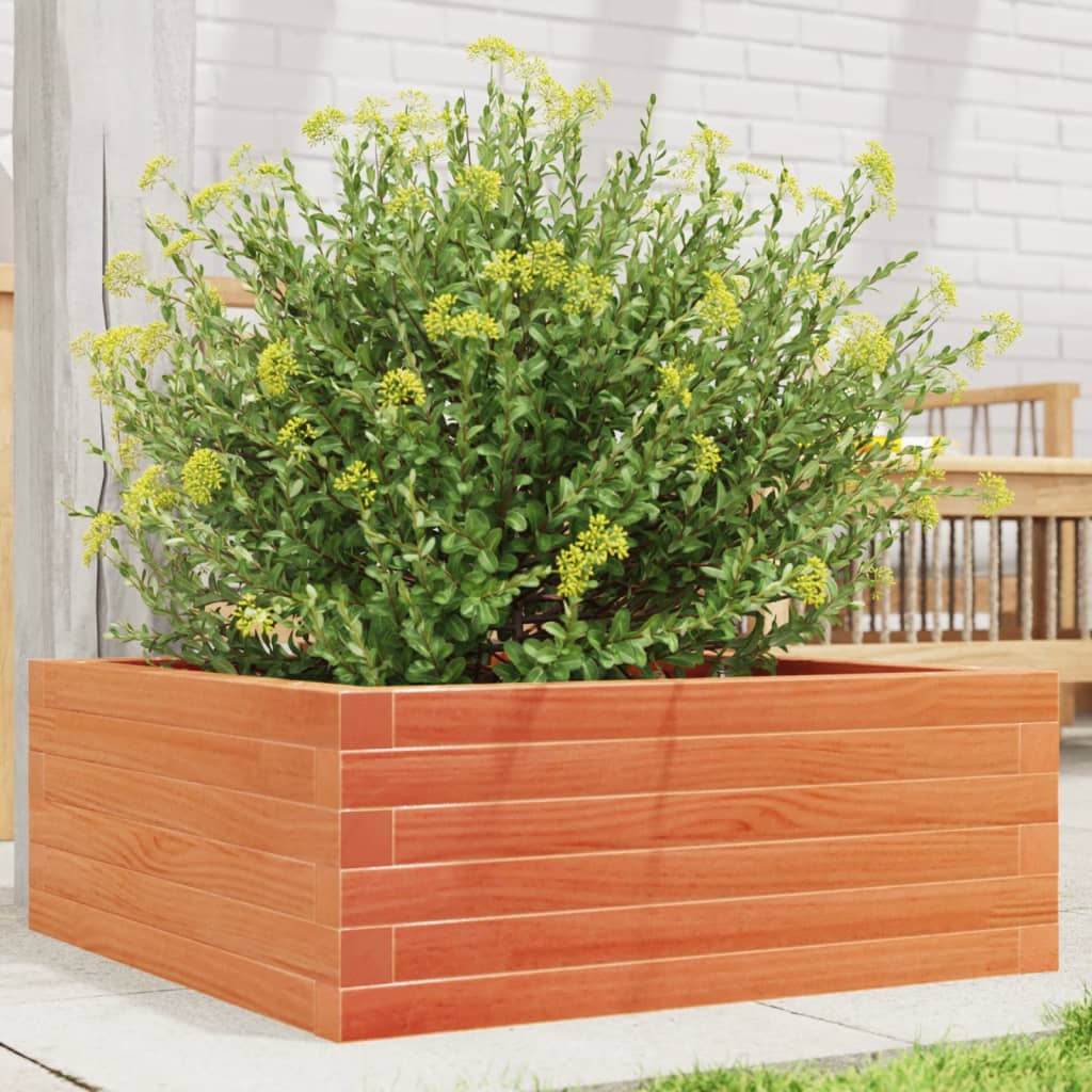 vidaXL Garden Planter Wax Brown 60x60x23 cm Solid Wood Pine 1