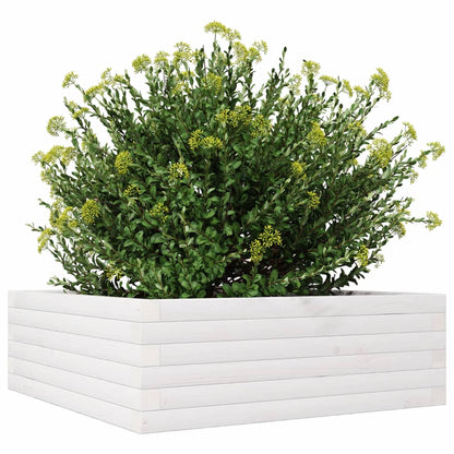 vidaXL Garden Planter White 70x70x23 cm Solid Wood Pine 4