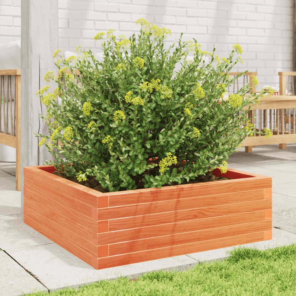 vidaXL Garden Planter Wax Brown 70x70x23 cm Solid Wood Pine 3
