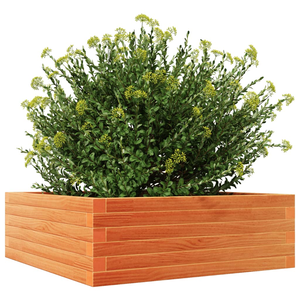 vidaXL Garden Planter Wax Brown 70x70x23 cm Solid Wood Pine 4