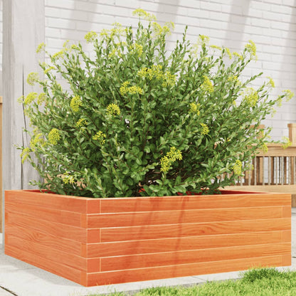 vidaXL Garden Planter Wax Brown 70x70x23 cm Solid Wood Pine 1