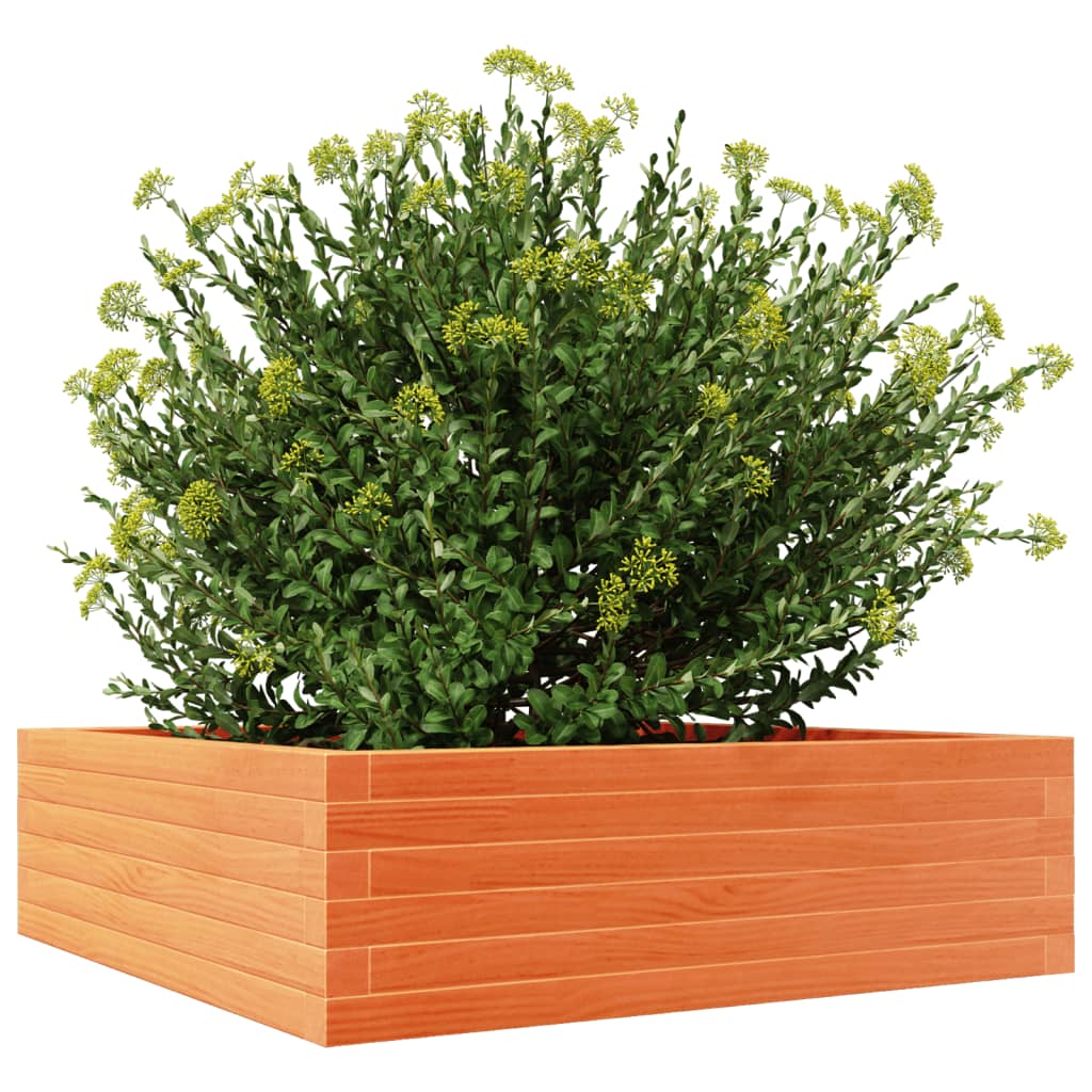 vidaXL Garden Planter Wax Brown 80x80x23 cm Solid Wood Pine 4