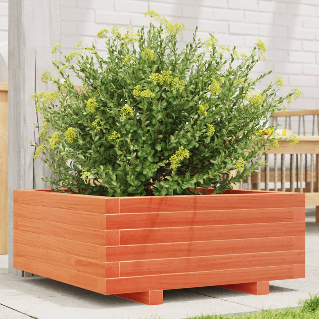 vidaXL Garden Planter Wax Brown 60x60x26.5 cm Solid Wood Pine 1
