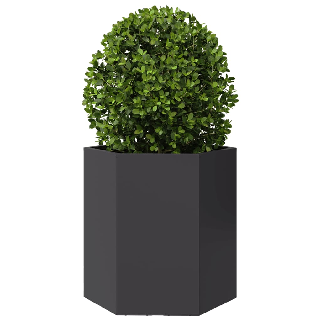 vidaXL Garden Planter 2 pcs Black Hexagon 46x40x45 cm Steel 5