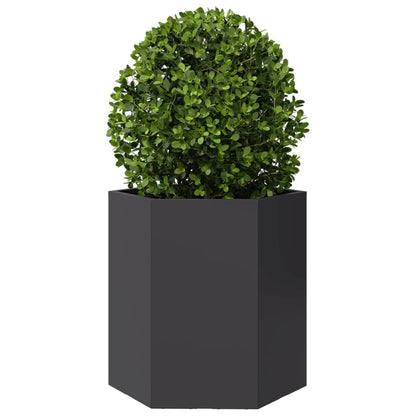 vidaXL Garden Planter 2 pcs Black Hexagon 46x40x45 cm Steel 5