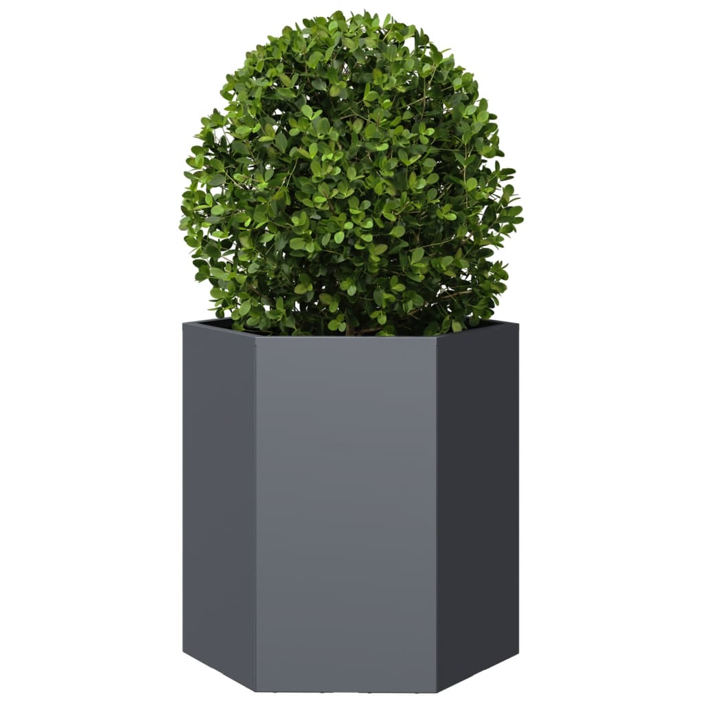 vidaXL Garden Planter 2 pcs Anthracite Hexagon 46x40x45 cm Steel 5