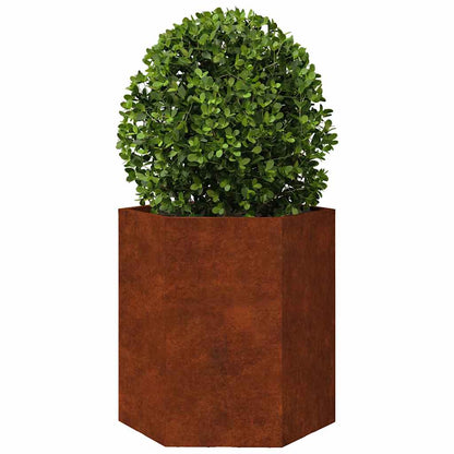 vidaXL Garden Planters 2 pcs Hexagon 46x40x45 cm Weathering Steel 6