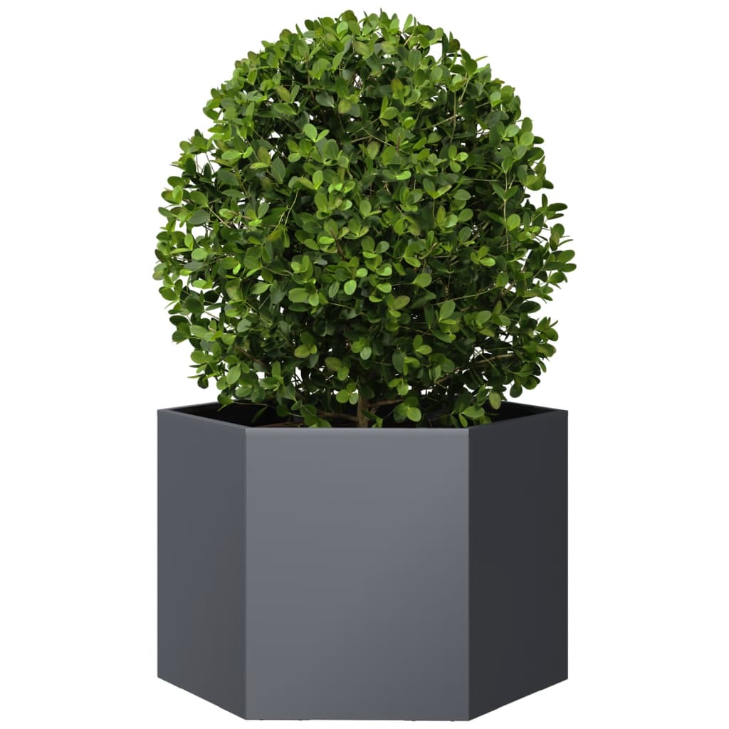 vidaXL Garden Planter Anthracite Hexagon 69x60x45 cm Steel 3