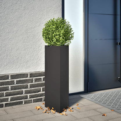 vidaXL Garden Planters 2 pcs Black Triangular 30x26x75 cm Steel 1