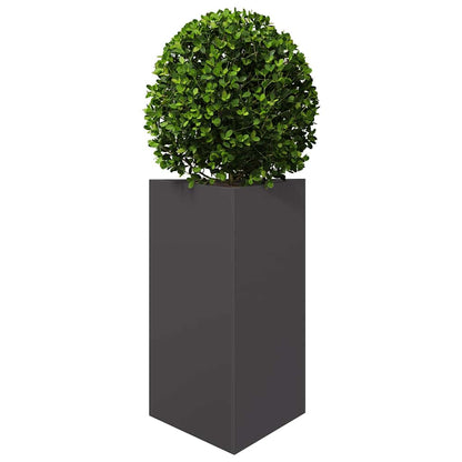 vidaXL Garden Planters 2 pcs Black Triangular 50x43x75 cm Steel 4