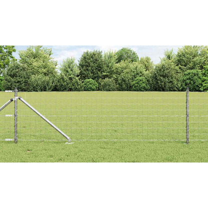 vidaXL Outdoor Euro Fence with Spikes 10 x 0.6 m Galvanised Steel Mesh 1