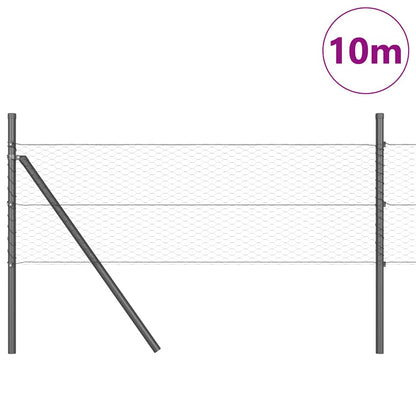 vidaXL Hexagonal Fence Ground Fix 10 x 0.8 m PVC-Coated Steel Grey 3