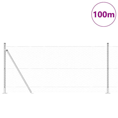 Hexagonal Fence with Concrete Base 100 x 1 m PVC-Coated Steel Length 100 m Galvanised steel 1 m 36 mm mesh