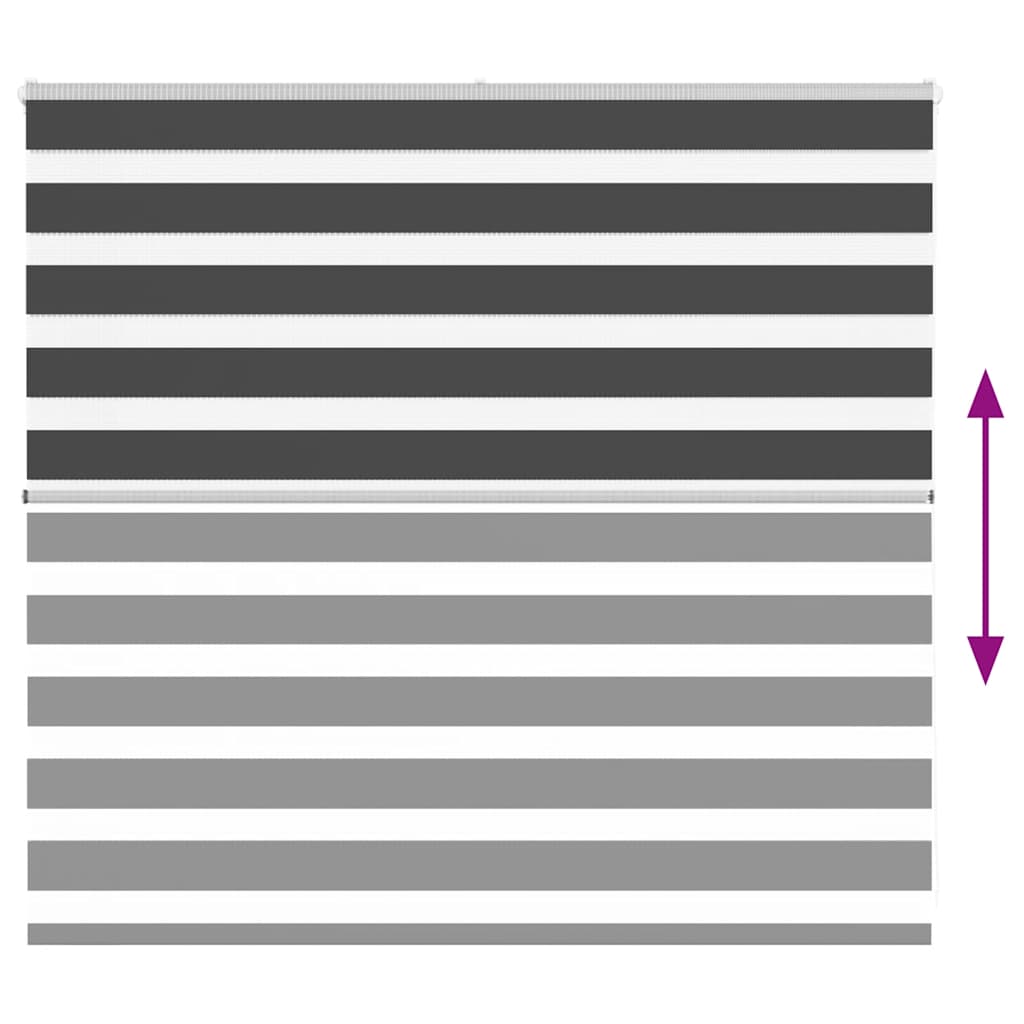 vidaXL Zebra Blind Black 160x100 cm Fabric Width 155.9 cm Polyester 5