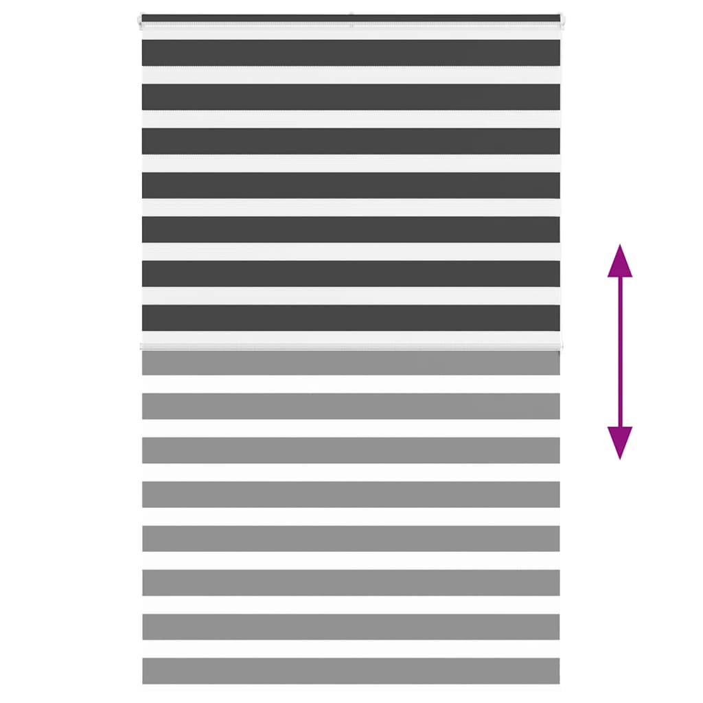 vidaXL Zebra Blind Black 150x200 cm Fabric Width 145.9 cm Polyester 5