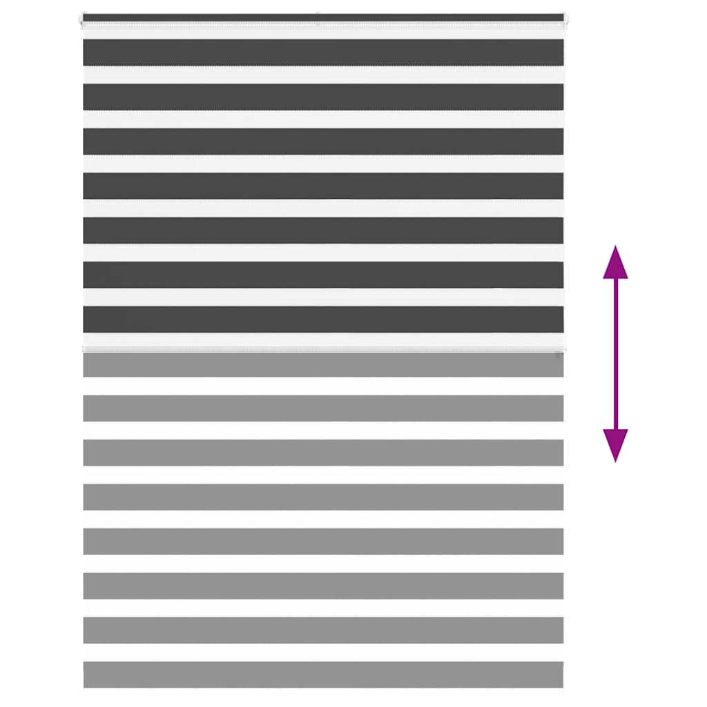vidaXL Zebra Blind Black 160x200 cm Fabric Width 155.9 cm Polyester 5