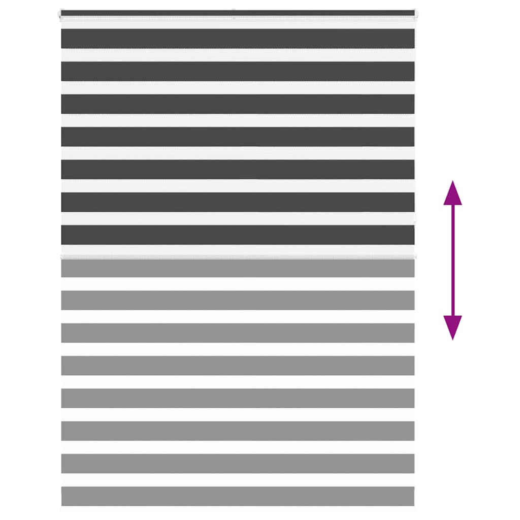 vidaXL Zebra Blind Black 160x230 cm Fabric Width 155.9 cm Polyester 5
