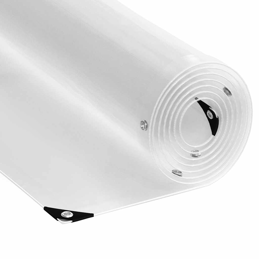 vidaXL Clear Tarpaulin with Eyelets 3x5 m PVC 1
