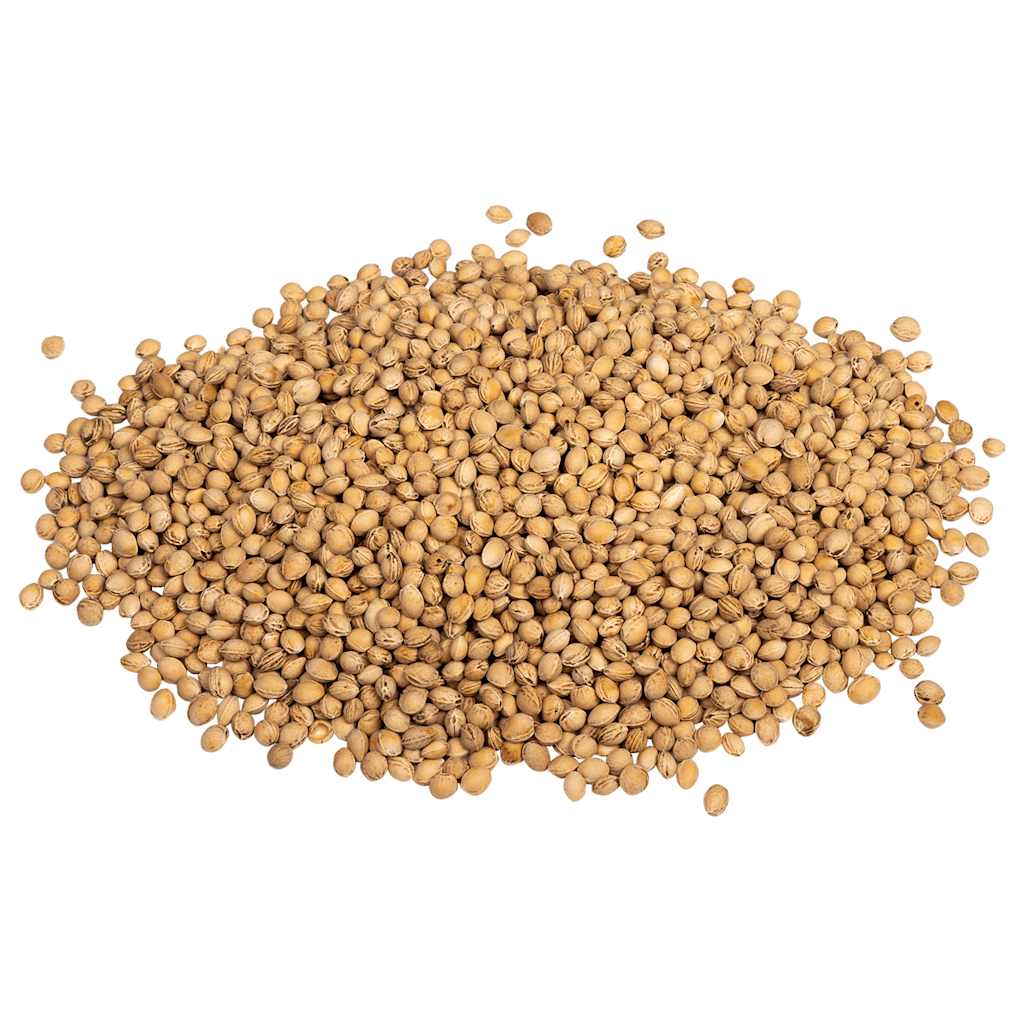 vidaXL Cherry Stones for Heat Cushion 25 kg 4